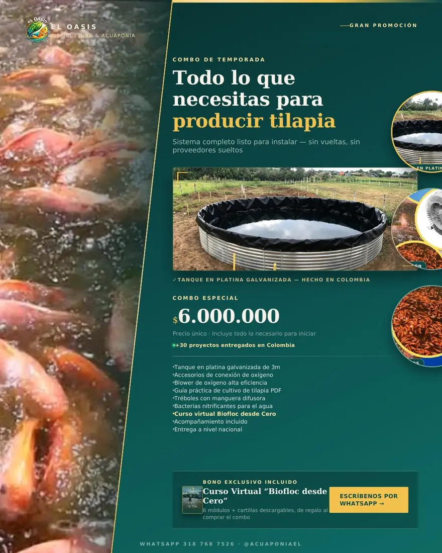 Combo Todo lo que necesitas para producir tilapia