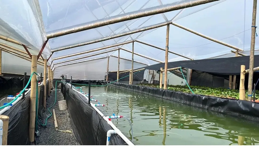 Camas de cultivo junto al canal de producción en El Oasis