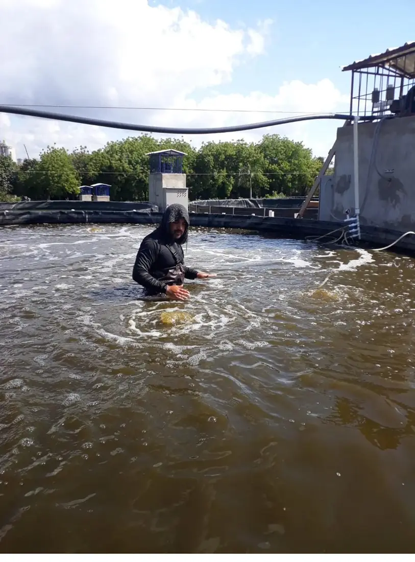 Asesoría técnica in situ