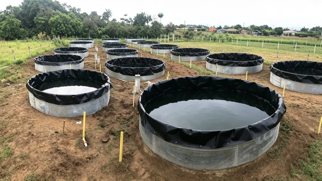 Tanques galvanizados con geomembrana El Oasis