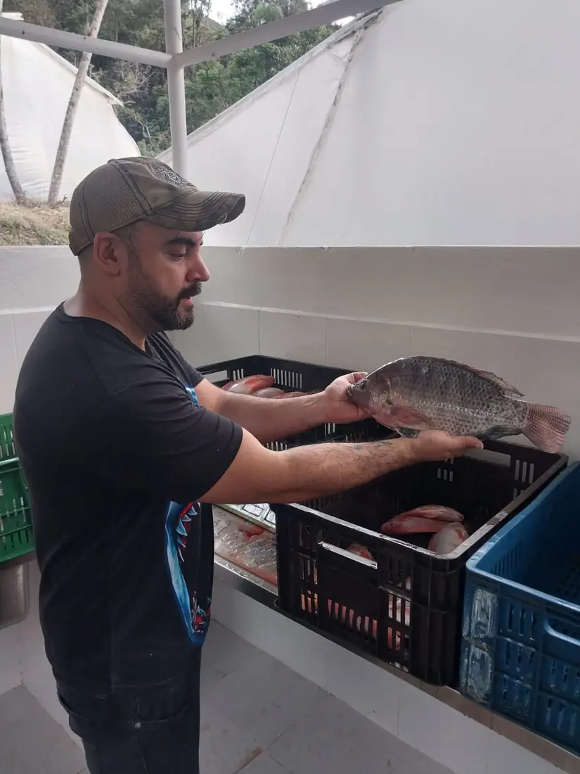 Tilapia 494 gramos